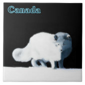 明るい北極キツネ タイル (正面)