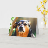 明るい厳格顔の挨拶状 カード (黄色い花)