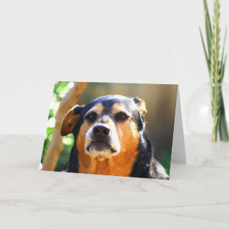 明るい厳格顔の挨拶状 カード