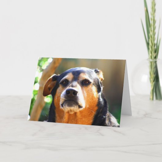 明るい厳格顔の挨拶状 カード (正面)