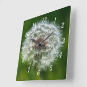 明るい壁の時計のタンポポ スクエア壁時計 (傾斜)