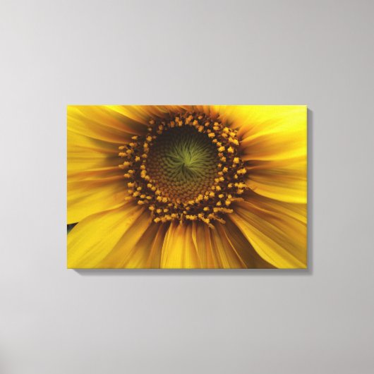 明るい太陽 キャンバスプリント (正面)