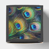 明るい孔雀の羽の構成 フェイバーボックス (上部)