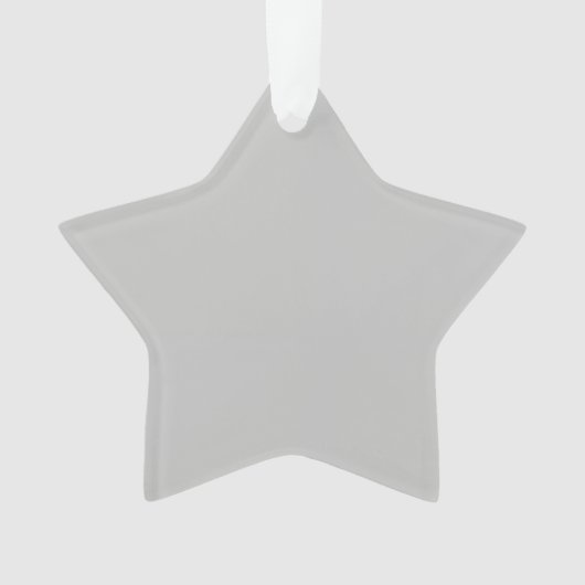 明るい形見でチャームを木に追加 オーナメント (正面)