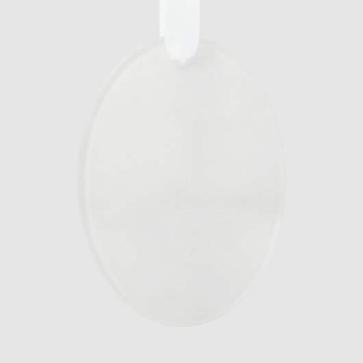 明るい形見でチャームを木に追加 オーナメント (正面)