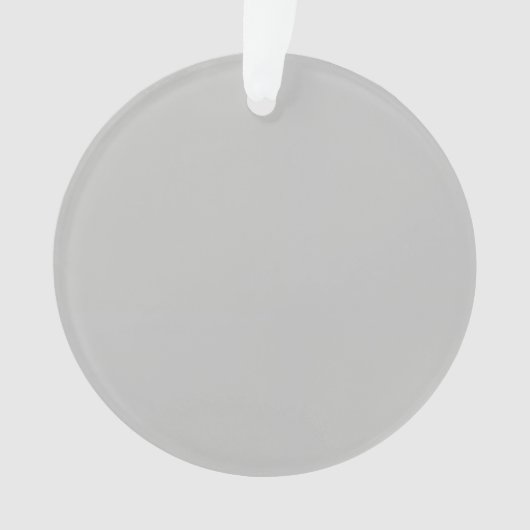 明るい形見でチャームを木に追加 オーナメント (正面)