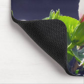 明るい日光の中のハイビスカス マウスパッド (コーナー)