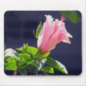 明るい日光の中のハイビスカス マウスパッド (正面)
