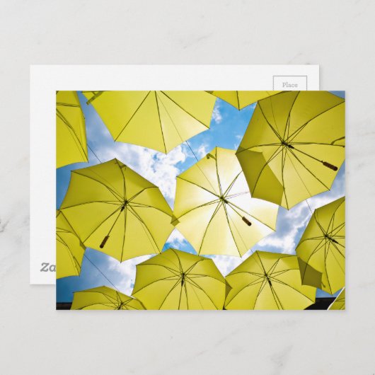 明るい日当たりの良いイエロー傘 ポストカード (正面/裏面)