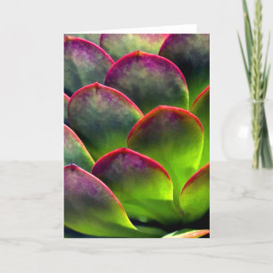 明るい日曜日および陰の砂漠のSucculent カード