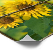 明るい日 ポスター (角)