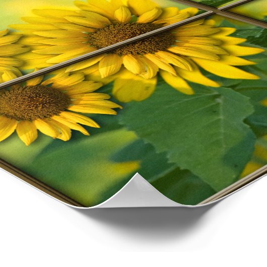 明るい日 ポスター (角)