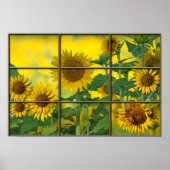 明るい日 ポスター (正面)