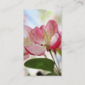 明るい春のリンゴの花 名刺 (裏面)