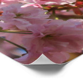 明るい春色のさくらんぼ ポスター (角)