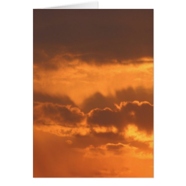 明るい朝日 (正面)