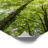 明るい木の天蓋 ポスター (角)