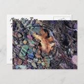 明るい水の輪 ポストカード (正面/裏面)