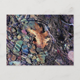 明るい水の輪 ポストカード