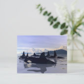 明るい水オルカ ポストカード (スタンド正面)