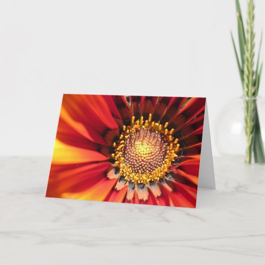 明るい火花 カード (正面)