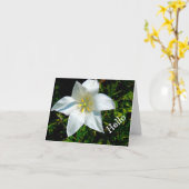 明るい白い星形の花/HELLO/PHOTO カード (黄色い花)