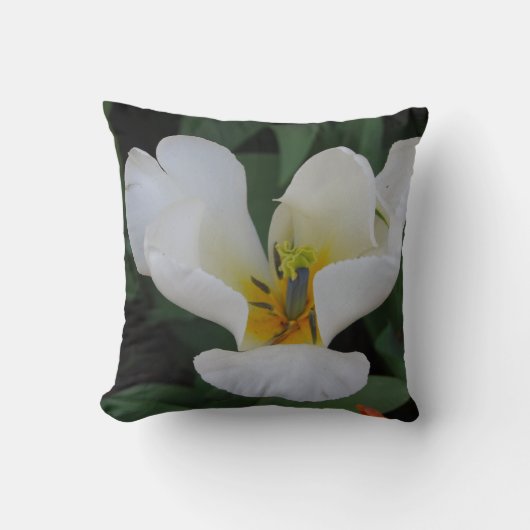 明るい白い枕 クッション (正面)