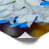 明るい白と青のデイジーフラワーミックスポスター ポスター (コーナー)