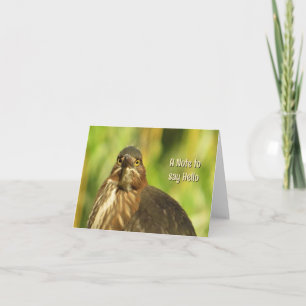 明るい目のハロン空白の- Greeting Card カード