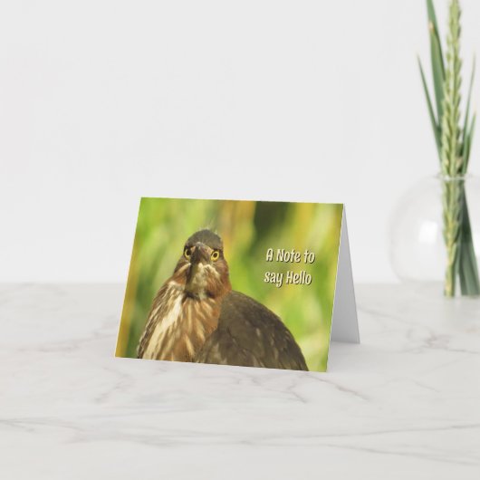 明るい目のハロン空白の- Greeting Card カード (正面)