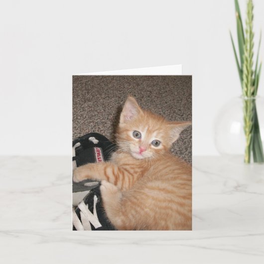 明るい目の子猫ノートカード カード (正面)