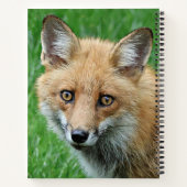 明るい目の赤いキツネ野生生物写真 ノートブック (裏面)