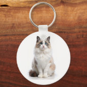 明るい目をした愛らしいトラ猫 キーホルダー (正面)