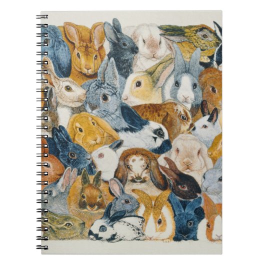 明るい目 ノートブック (正面)