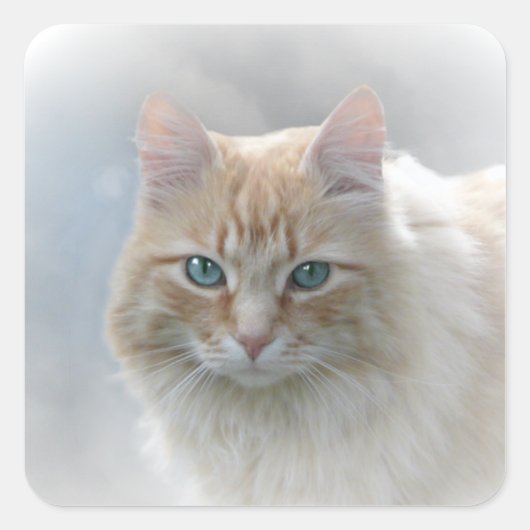 明るい目AH2010 スクエアシール (正面)