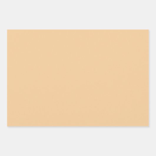 明るい真のオレンジ無地の色 ラッピングペーパーシート (正面2)