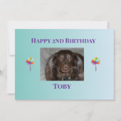 明るい空のペットの誕生日招待状レイアウト 招待状 (正面)