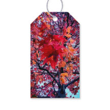 明るい紅葉
