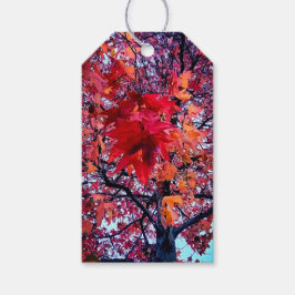 明るい紅葉 ギフトタグ