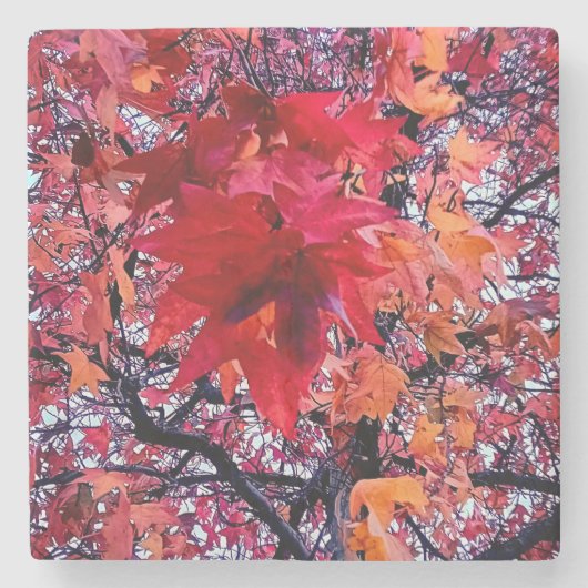 明るい紅葉 ストーンコースター (正面)