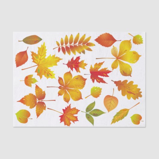 明るい紅葉 薄葉紙 (正面)