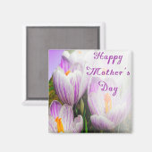 明るい紫と白のチューリップ マグネット (正面/裏面)