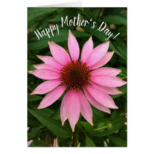 明るい紫のベニバナ母の日のカード (正面)