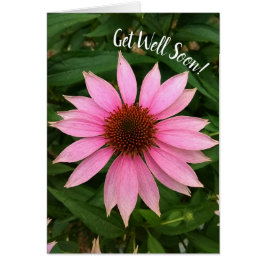 明るい紫色のベニバナが良いカードを取得