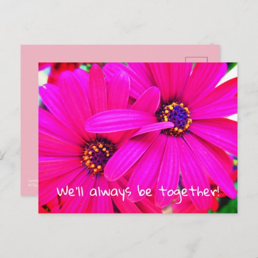 明るい紫色の庭の花の骨のパーマ ポストカード (正面/裏面)