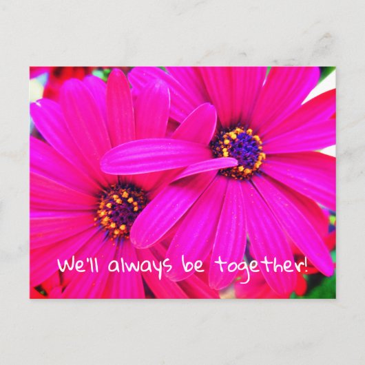 明るい紫色の庭の花の骨のパーマ ポストカード (正面)