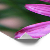 明るい紫色の花のポスター ポスター (角)