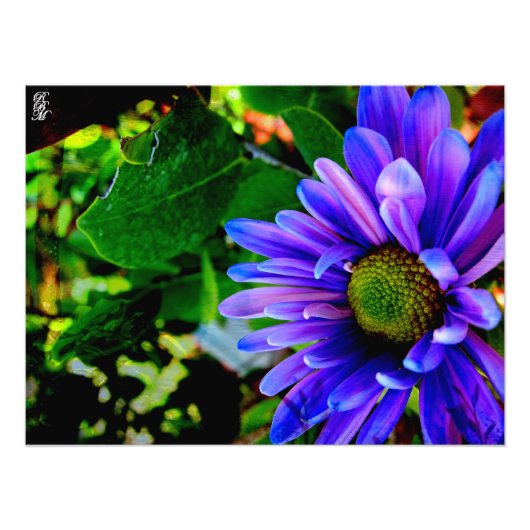 明るい紫色の花 フォトプリント            (正面)