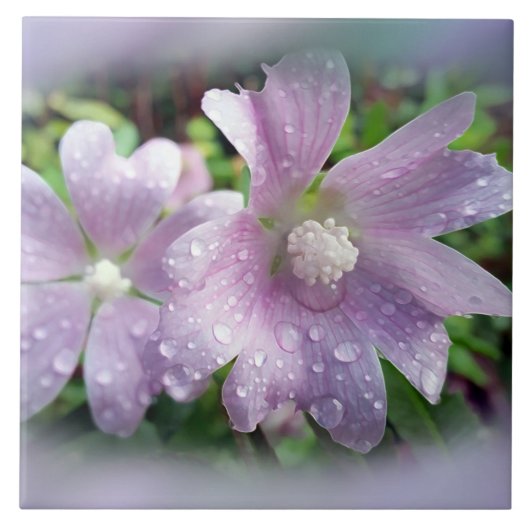 明るい紫 タイル (正面)