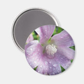 明るい紫 マグネット (正面/裏面)